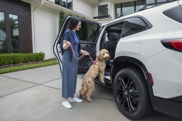 Copia de Dog Chevrolet